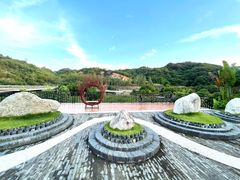 -品泉餐厅·大盆鱼·走地鸡