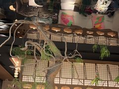 -桂满陇·海市蜃楼·黑金(国金店)