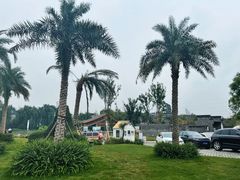 -三圣花乡旅游区