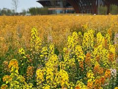 -中国天府农业博览园