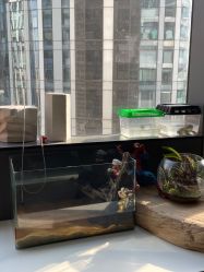 -周忆刺青原创设计定制