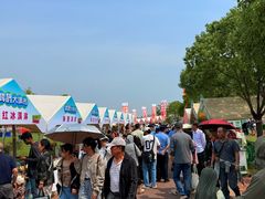 -九龙湖公园