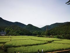 -天台山景区