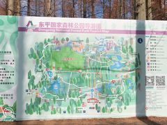 -东平国家森林公园