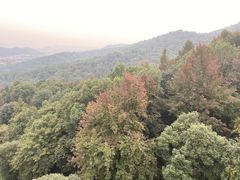 -岳麓山风景名胜区