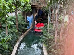 -南宫五洲植物乐园