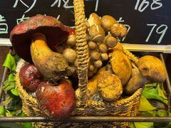 -菌自由丨野生菌火锅特色庭院餐厅(丽江古城店)