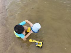 -碧海金沙