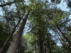 -国家植物园南园