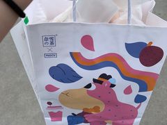 -奈雪的茶(国金中心店)