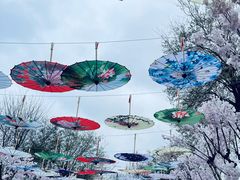 -武汉紫薇都市田园