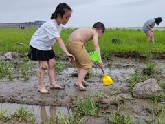 -南汇嘴观海公园