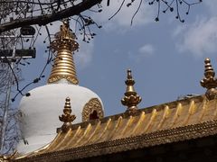 -护国法轮寺