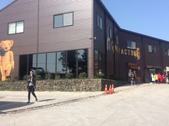 -济州岛泰迪熊博物馆