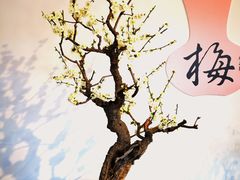 -颐和园