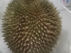 -龙梅肥肠鱼(明瓦廊店)