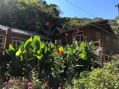 旅馆-大岭沟猕猴桃谷风景区