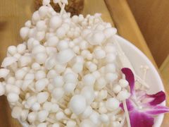 -烹然四季椰子鸡火锅(团结湖总店)