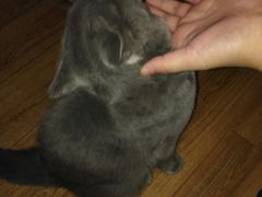 -Rabbit Cafe私房西餐甜点咖啡(栖霞路店)