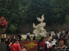 -金鸡山公园