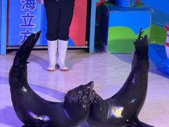 -成都浩海立方海洋公园