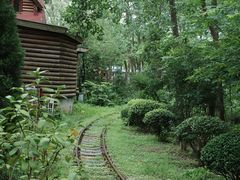 -合肥滨湖国家森林公园