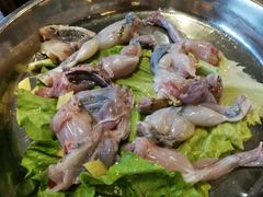 野生田鸡-渔米粥(罗湖店)