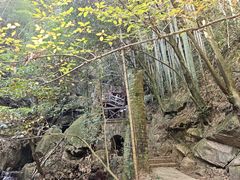 -莫干山风景区