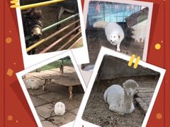 -南宫五洲植物乐园