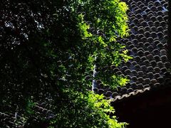 -中国美术学院象山校区-民艺博物馆