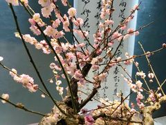 -石家庄市植物园