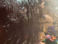 -南宫温泉水世界