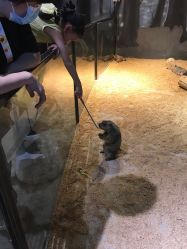 -酷嗒动物文化乐园(cutezoo西溪乐天城店)