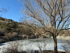 -北京西山国家森林公园