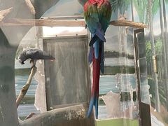 -石家庄市动物园