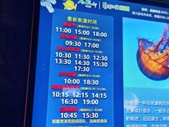 -合肥海洋世界
