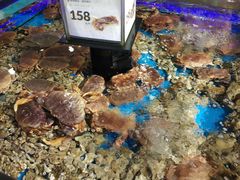 -盒马鲜生(岭南新世界店)