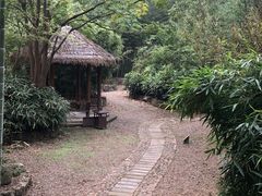 -黄公望隐居地