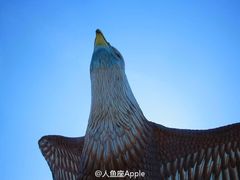 -巨鹰广场