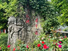 -鹅湖玫瑰文化园