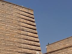 -盘龙城国家考古遗址公园