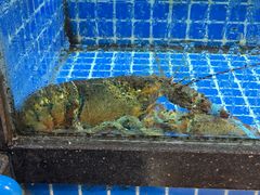 -碧海银沙海鲜餐厅(恒大海上威尼斯店)