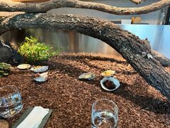 -曲廊院(东四十一条店)