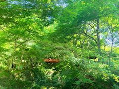 -三千院