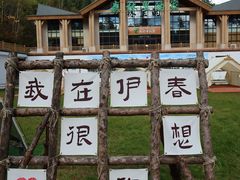 -五营红松林海景区