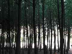 -捞渔河湿地公园