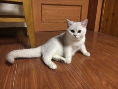 -鱼酷活鱼烤鱼(昆明路店)