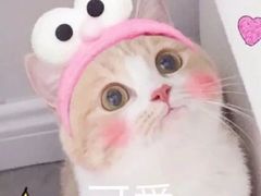 -皇城老妈·大连海鲜火锅(港湾店)