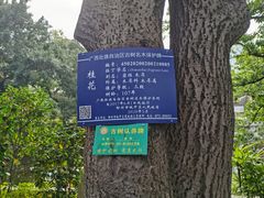-柳侯公园