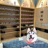 孩子第一次上游泳课[调皮]